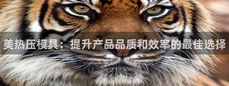 emcbet全站：美热压模具：提升产品品质和效率的最佳选