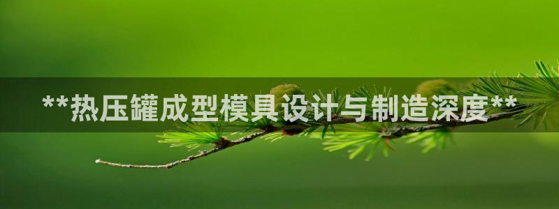 易倍申上市时间