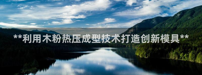 易倍纤官网：**利用木粉热压成型技术打造创新模具**