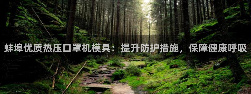 emc低频：蚌埠优质热压口罩机模具：提升防护措施，保障健