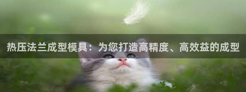 易倍纤谷物粉效果好吗：热压法兰成型模具：为您打造高精度、