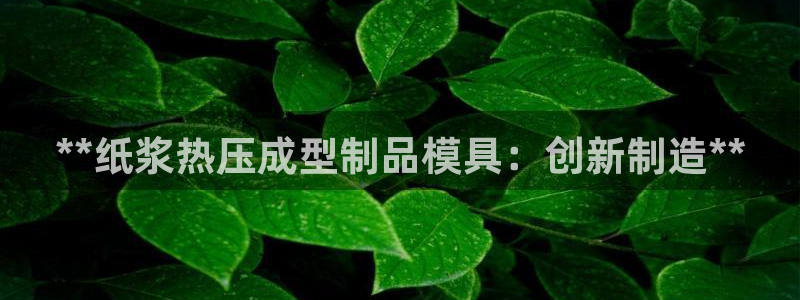 易倍纤多少钱：**纸浆热压成型制品模具：创新制造**