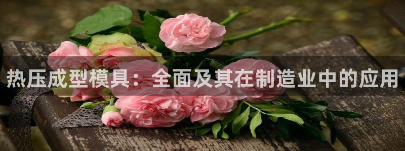 emc易倍老板：热压成型模具：全面及其在制造业中的应用