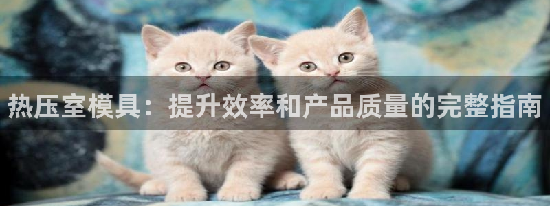 易倍申多少钱一盒：热压室模具：提升效率和产品质量的完整指