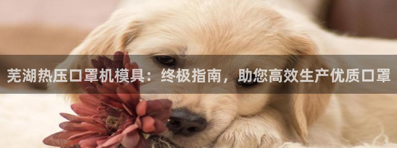 易倍纤价格