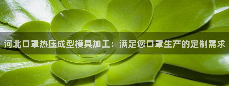 易倍申每盒价格是多少?