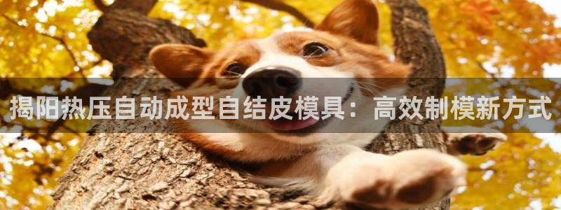 易倍申片