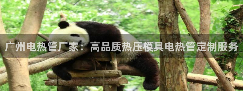 emc服务器是什么