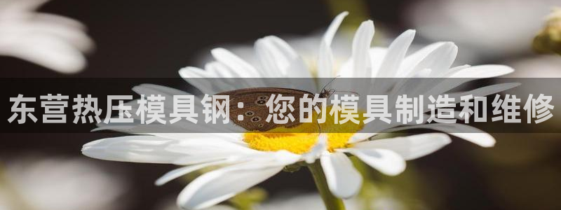 emc倍频超了：东营热压模具钢：您的模具制造和维修
