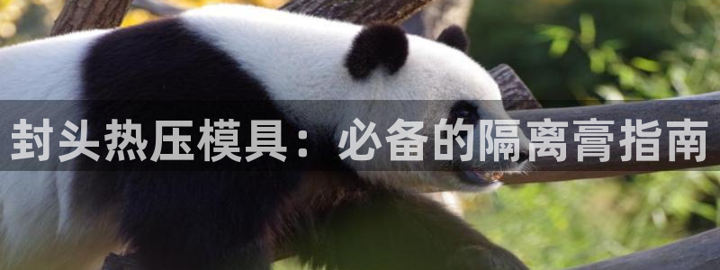 易倍申在中国成功上市
