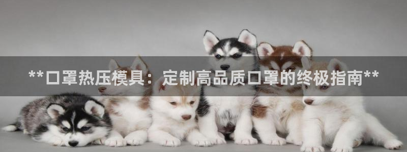 易倍纤能减肥吗：**口罩热压模具：定制高品质口罩的终极指