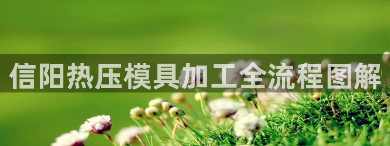 易倍纤奶昔减肥效果怎么样
