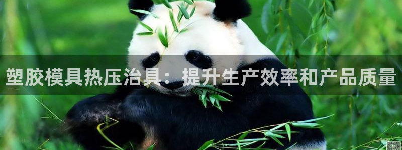 易倍下载