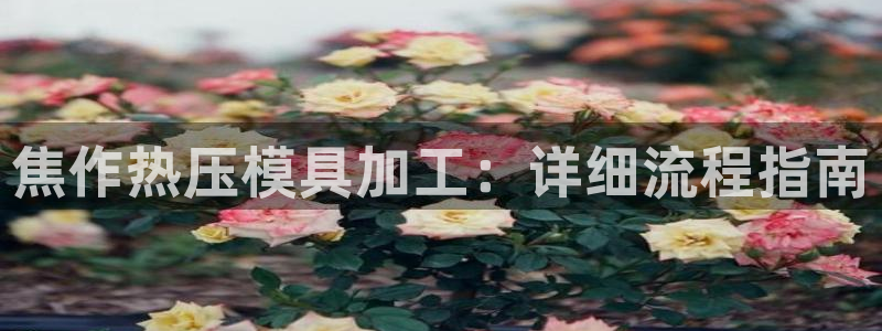 易倍申能长期吃吗