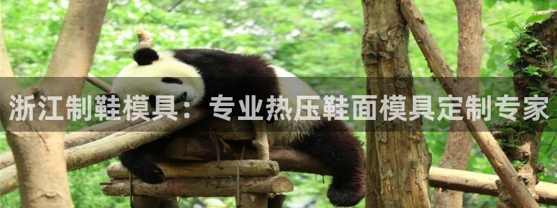 杭州易倍达上班怎么样