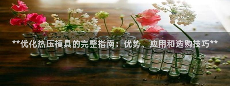 emc易倍怎么样：**优化热压模具的完整指南：优势、应用