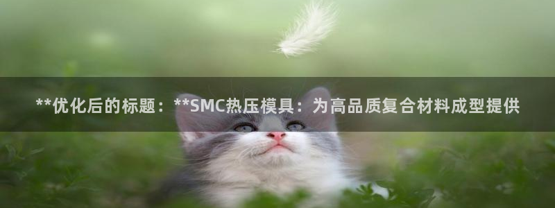 易倍申在中国成功上市：**优化后的标题：**SMC热压模
