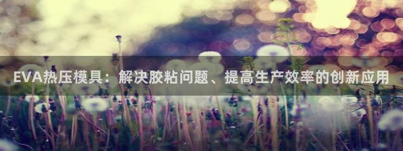 易倍单词官方网站下载