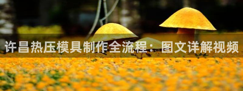 EMC倍频系数