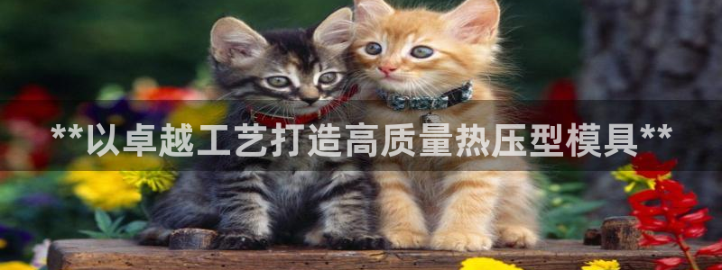emc备份软件：**以卓越工艺打造高质量热压型模具**
