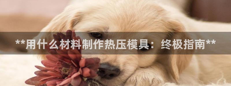 易倍纤能减肥吗：**用什么材料制作热压模具：终极指南**