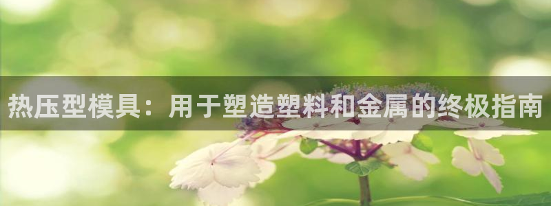 易倍申上市时间：热压型模具：用于塑造塑料和金属的终极指南