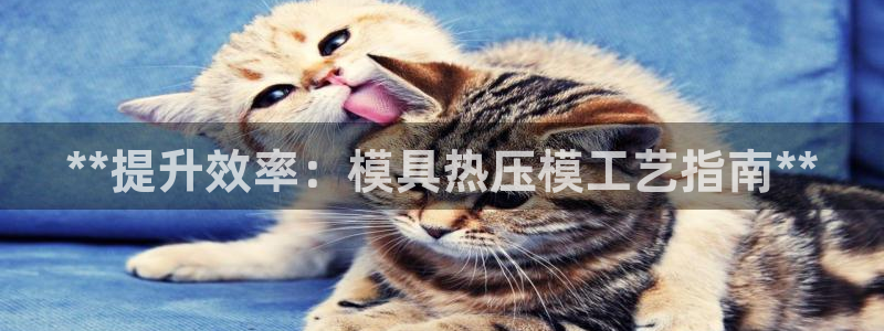 emc易倍官网：**提升效率：模具热压模工艺指南**