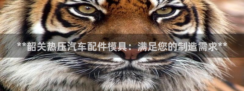 易倍下载地址：**韶关热压汽车配件模具：满足您的制造需求