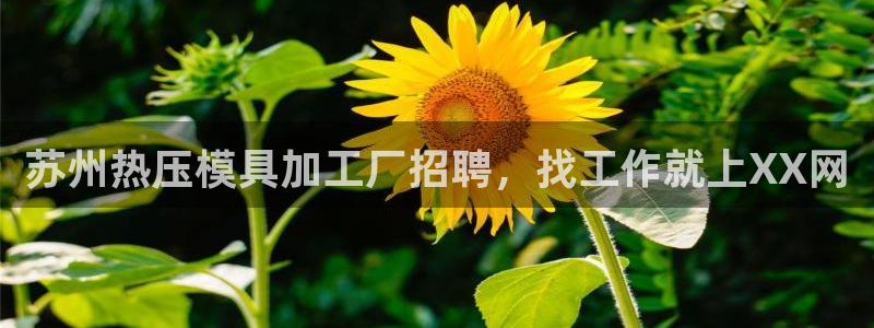EMC倍频系数