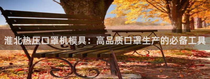易倍下载手机版：淮北热压口罩机模具：高品质口罩生产的必备
