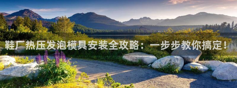 易倍纤价格