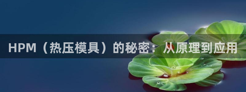 易倍单词如何下载