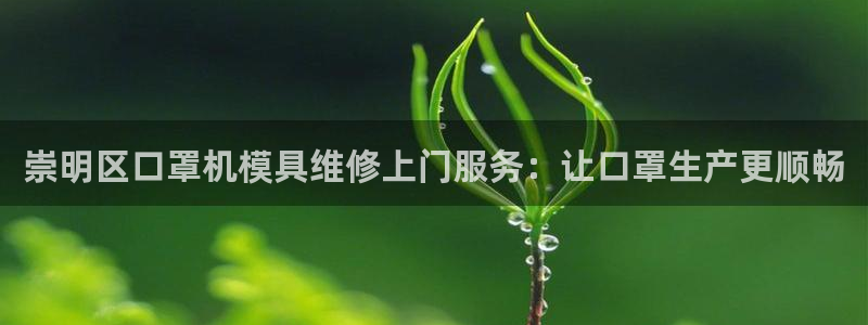 易倍申厂家