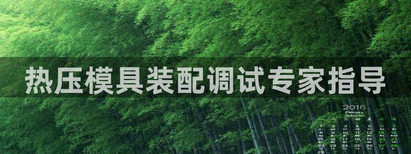 易倍易倍单词官方网站