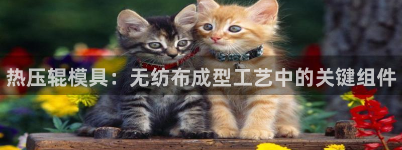 emc倍频：热压辊模具：无纺布成型工艺中的关键组件