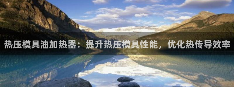 易倍申多少钱一盒：热压模具油加热器：提升热压模具性能，优