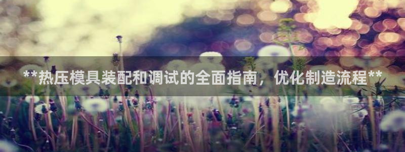 EMC易倍让身份验证：**热压模具装配和调试的全面指南，