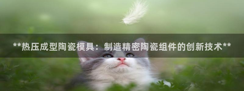 易倍电竞安装教程：**热压成型陶瓷模具：制造精密陶瓷组件