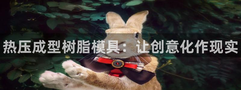 易倍电竞：热压成型树脂模具：让创意化作现实