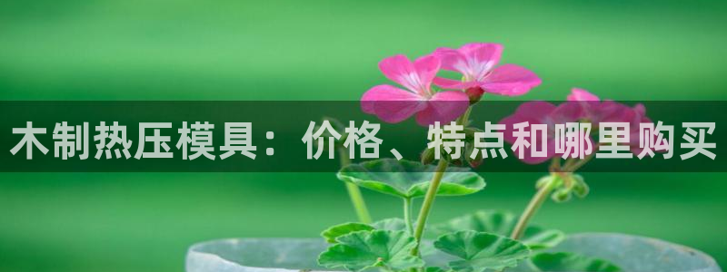 易倍易倍单词官方网站