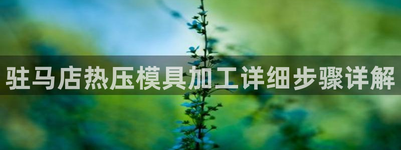 易倍网络技术有限公司怎么样