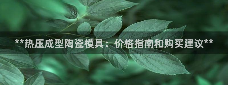 易倍申生产厂家
