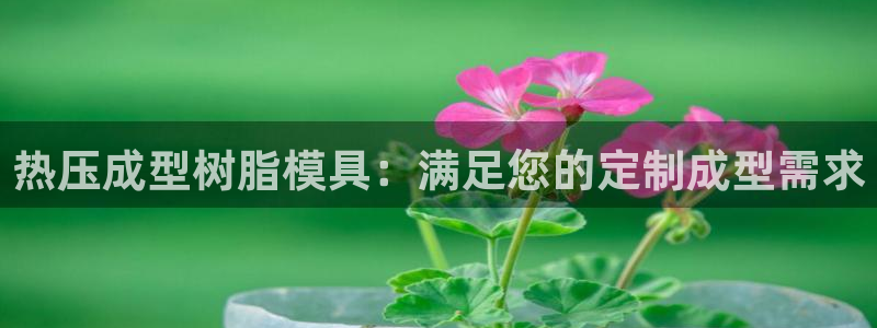 emc易赔：热压成型树脂模具：满足您的定制成型需求