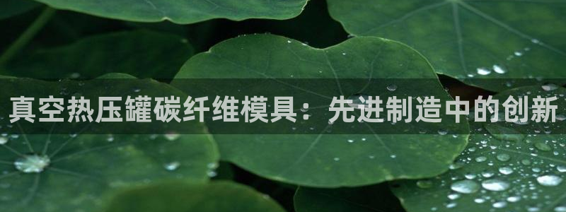 emcapp下载普通下载：真空热压罐碳纤维模具：先进制造