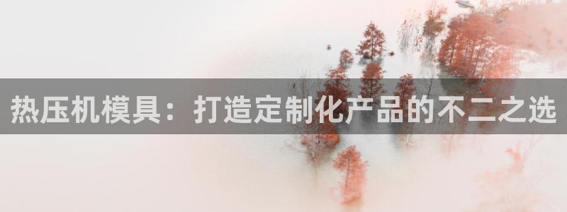 易倍申片的功效与作用：热压机模具：打造定制化产品的不二之