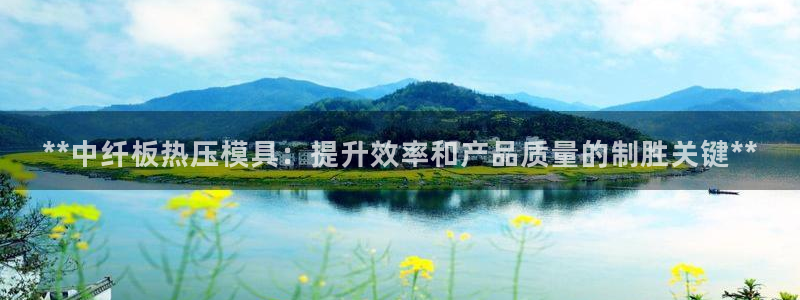 易倍app官网下载安装：**中纤板热压模具：提升效率和产
