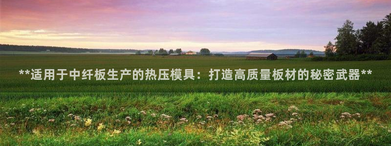 四川易倍易企业管理有限公司：**适用于中纤板生产的热压模