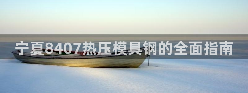 emc服务器是什么：宁夏8407热压模具钢的全面指南