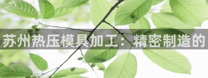 EMC易倍：苏州热压模具加工：精密制造的