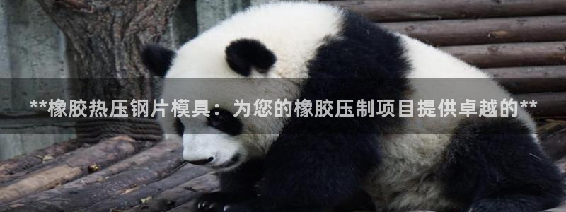 易倍申厂家：**橡胶热压钢片模具：为您的橡胶压制项目提供